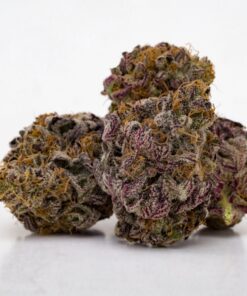 Grand Daddy purple