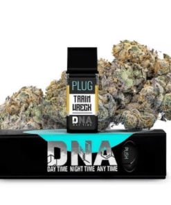 1G VAPE CARTRIDGE - PLUG AND PLAY